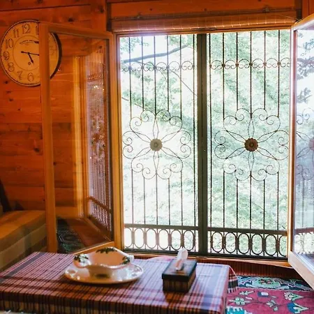 Treehouse Bosnia