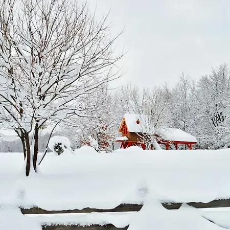 Treehouse Bosnia *