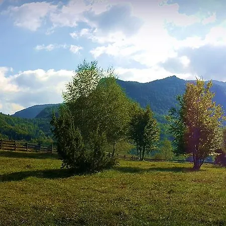 شقة Treehouse Bosnia *