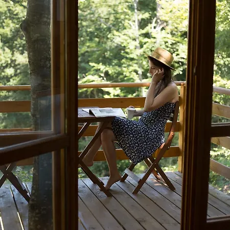 Treehouse Bosnia