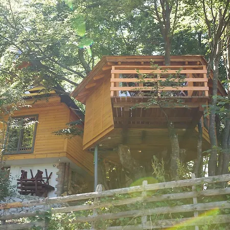 Treehouse Bosnia *